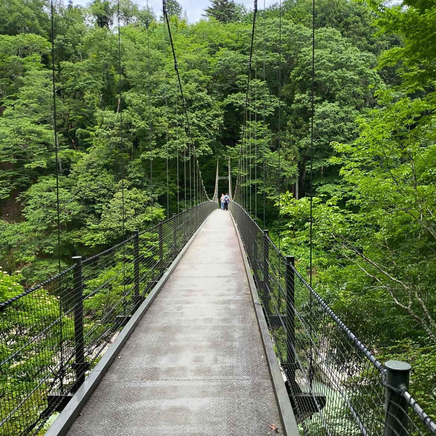 こちらは吊橋なのでものすごく揺れます。ｗ橋の上から見える景色は遮るものがなくて素晴らしい一本道なので渡るか引き返すかの２択のみ。